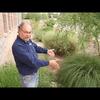 Embedded thumbnail for Recharge the Rain: Build Your Own Basin